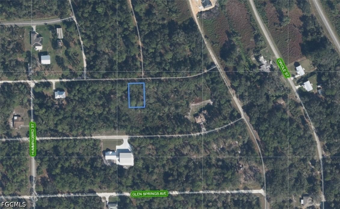 3224 Spoonbill Avenue, Lake Placid, FL 33852 photo 2