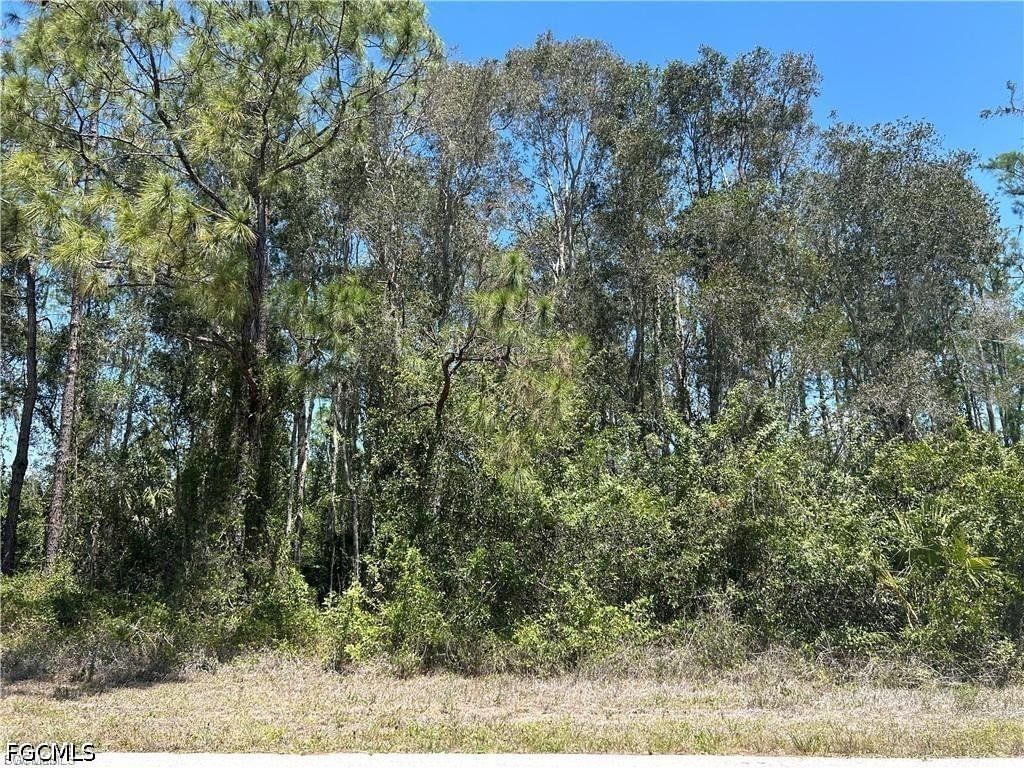 665 Knapp Street, Lehigh Acres, FL 33974 photo 4