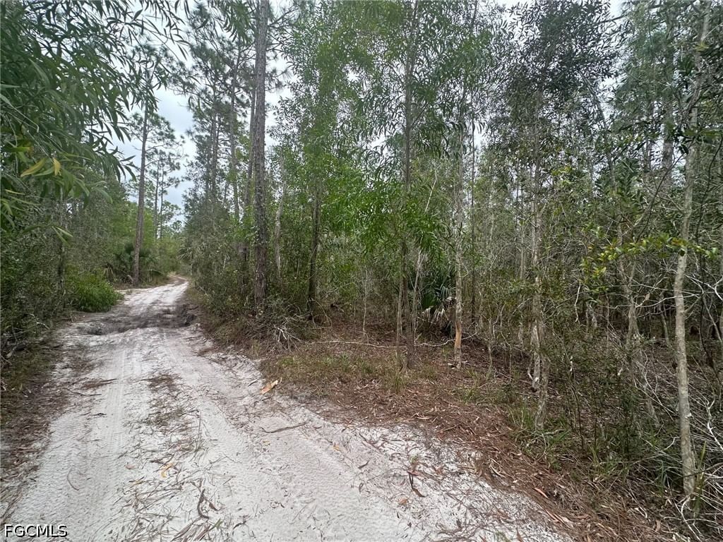 2258 Brooklawn Drive, North Fort Myers, FL 33917 photo 3