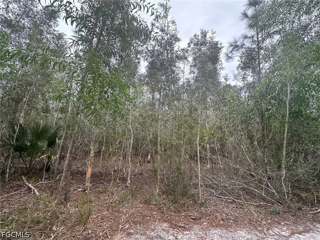 2258 Brooklawn Drive, North Fort Myers, FL 33917 photo 4