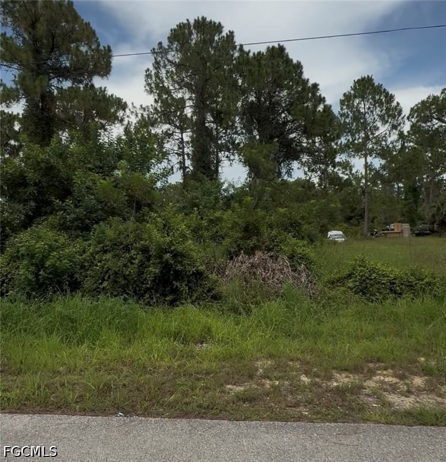 2018 Leroy Avenue, Alva, FL 33920 photo 2