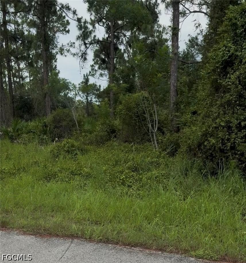 2018 Leroy Avenue, Alva, FL 33920 photo 4