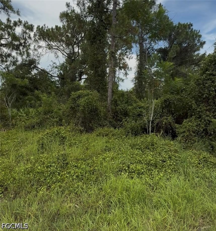 2018 Leroy Avenue, Alva, FL 33920 photo 5