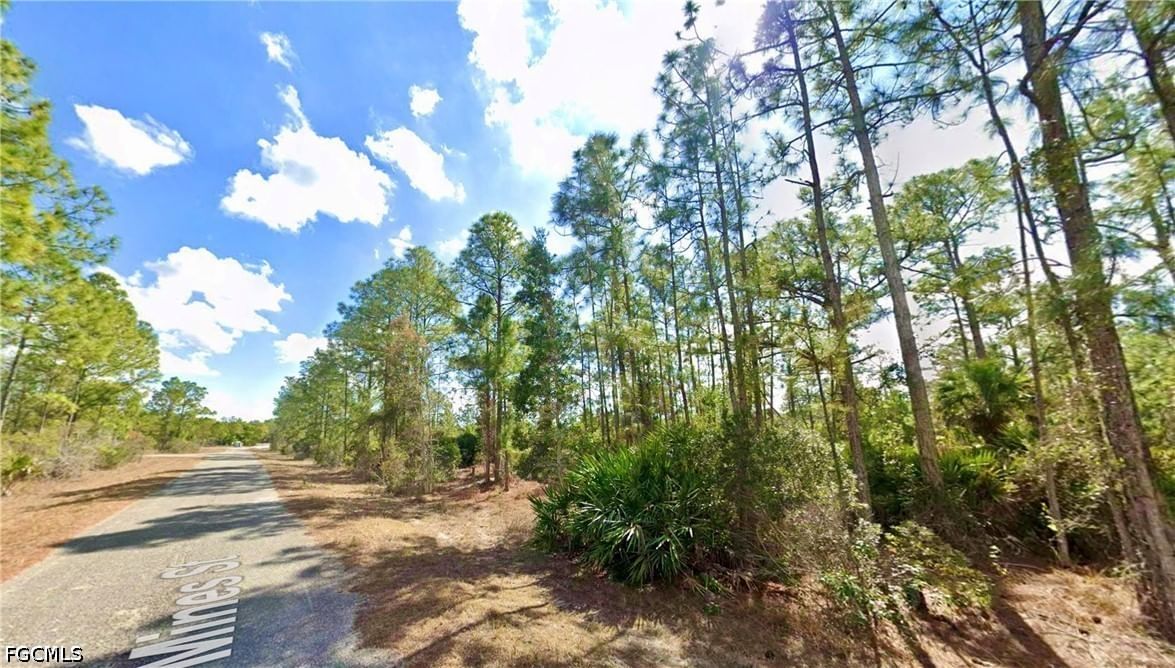 339 Mines Street, Lehigh Acres, FL 33972 photo 3