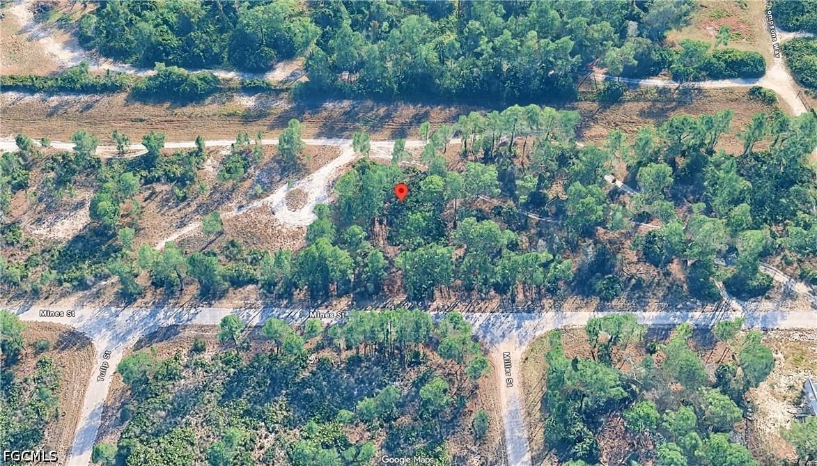 339 Mines Street, Lehigh Acres, FL 33972 photo 4