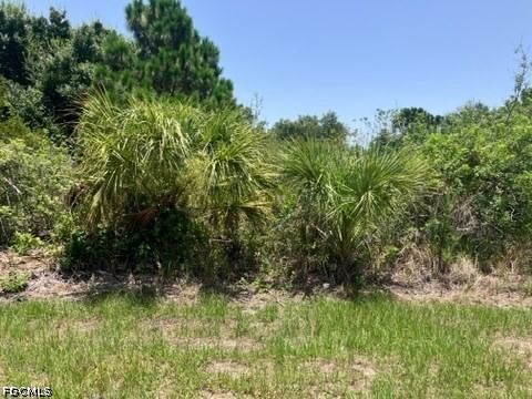 7034 Kaler Street, Port Charlotte, FL 33981 photo 4