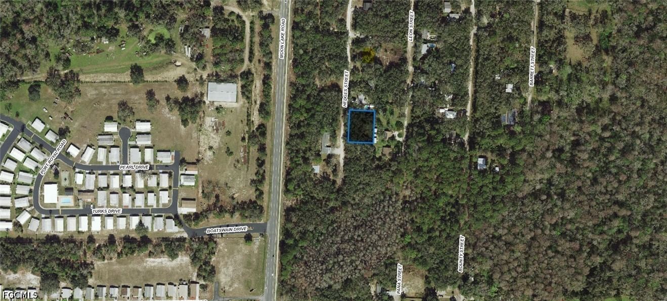 17-25-17-0030-0 Hedges Street, New Port Richey, FL 34654 photo 3