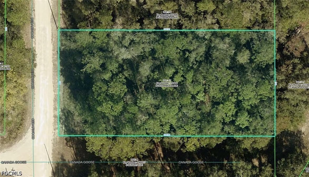 R01-221-17-3357 Cedarwood Avenue, Weeki Wachee, FL 34614
