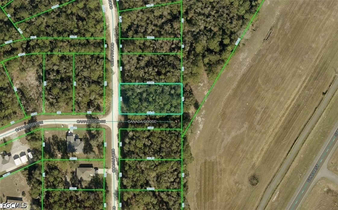 R01-221-17-3357 Cedarwood Avenue, Weeki Wachee, FL 34614 photo 2