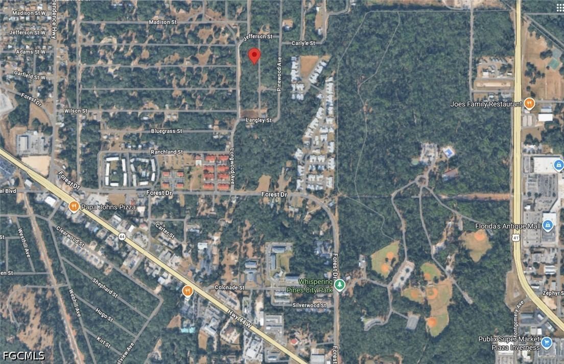 709 Dalwood Avenue, Inverness, FL 34453 photo 4
