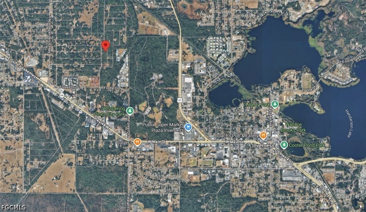 709 Dalwood Avenue, Inverness, FL 34453 photo 5