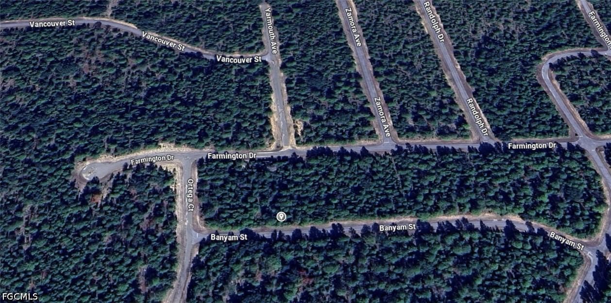 Banyam Street, Chipley, FL 32428 photo 2