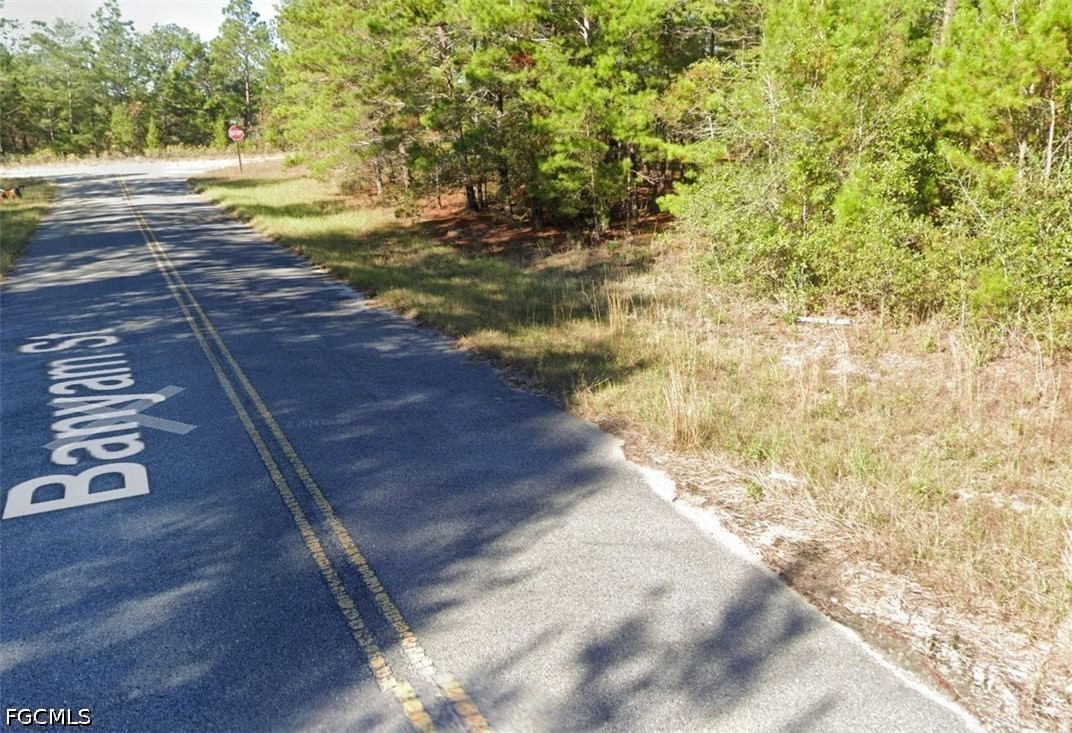 Banyam Street, Chipley, FL 32428 photo 5