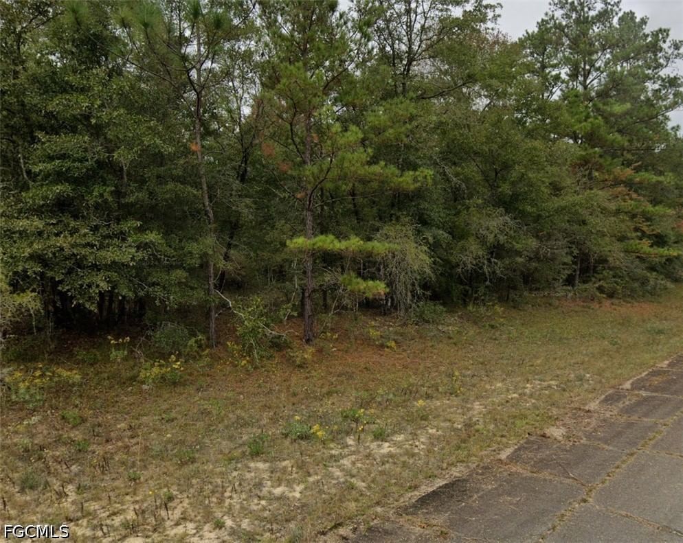 Darlington Drive, Chipley, FL 32428 photo 2