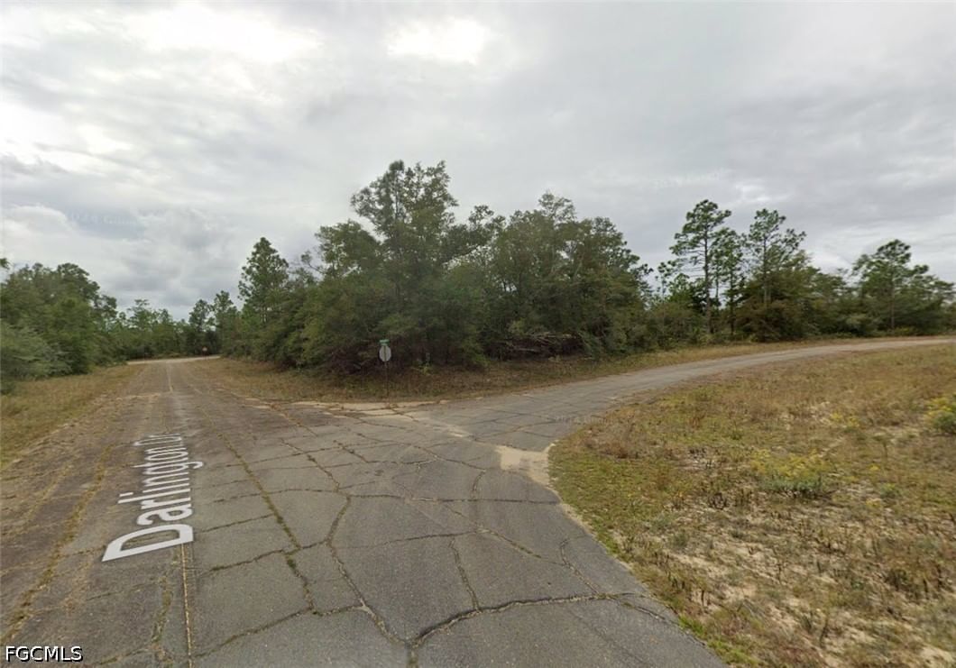 Darlington Drive, Chipley, FL 32428 photo 3