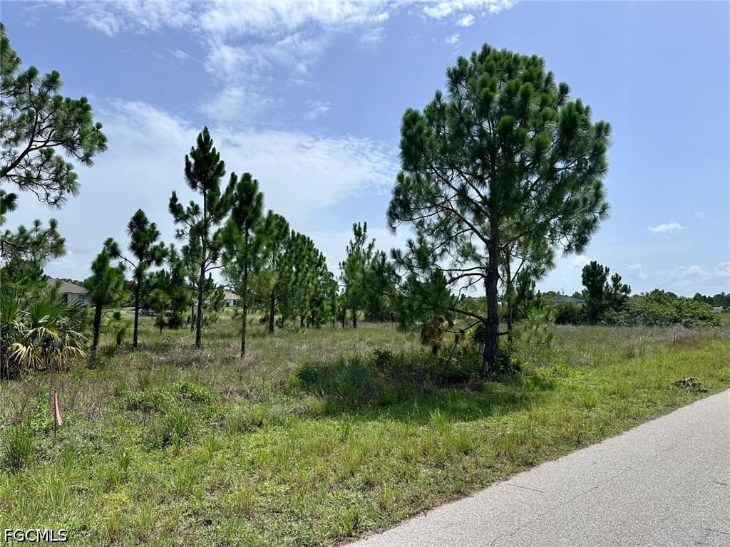 1123 Edgewood Street E, Lehigh Acres, FL 33974 photo 3
