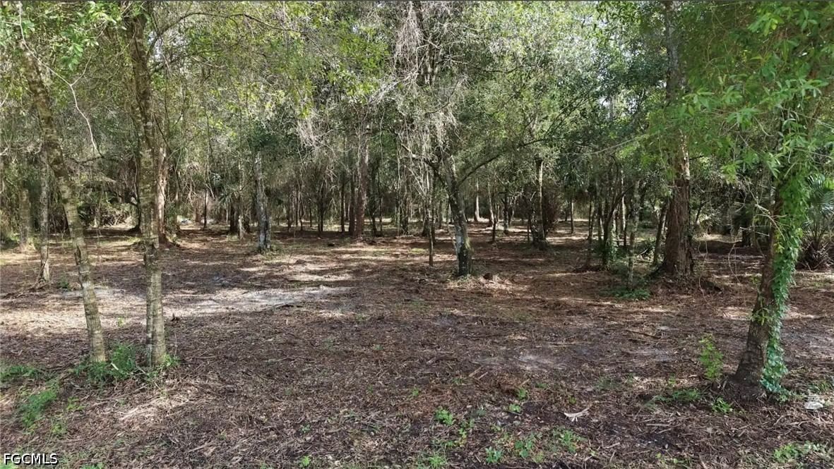 824 Woodland Boulevard, Clewiston, FL 33440 photo 4