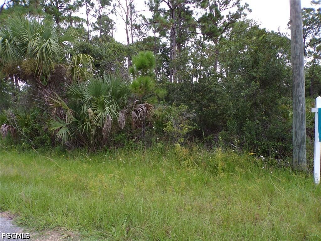 14020 Carrie Avenue, Port Charlotte, FL 33953 photo 5