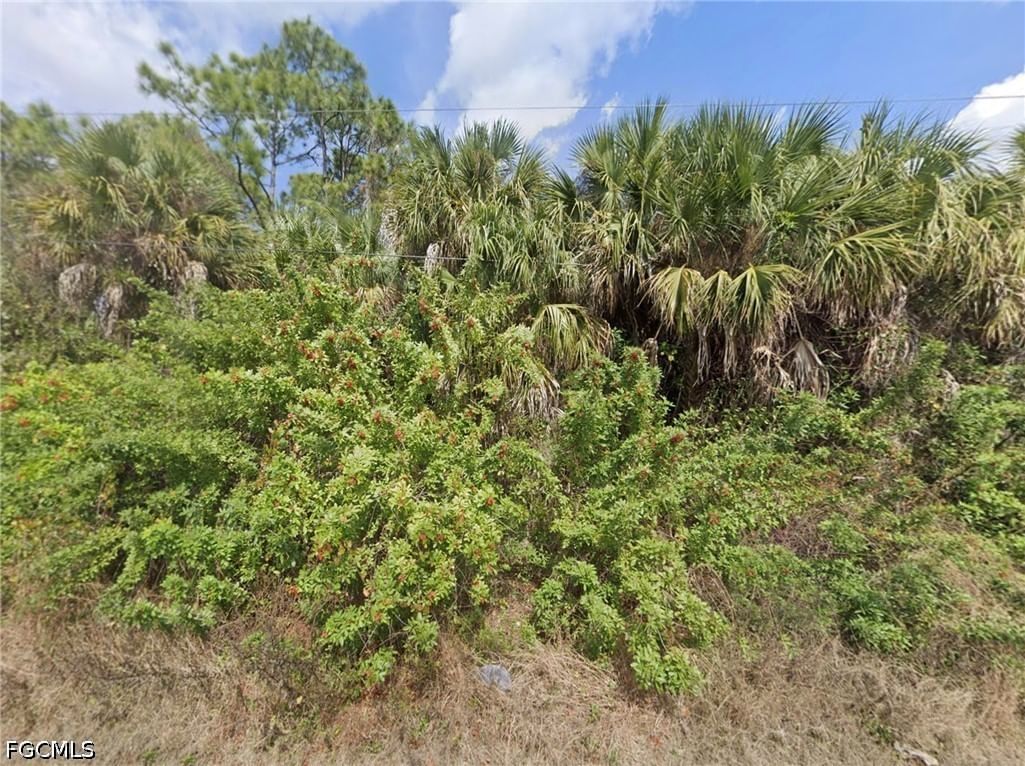 933 Asther Street E, Lehigh Acres, FL 33974 photo 2