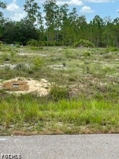 1216 Maple Avenue N, Lehigh Acres, FL 33972 photo 2