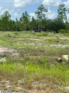 1216 Maple Avenue N, Lehigh Acres, FL 33972 photo 3