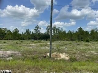 1216 Maple Avenue N, Lehigh Acres, FL 33972 photo 4