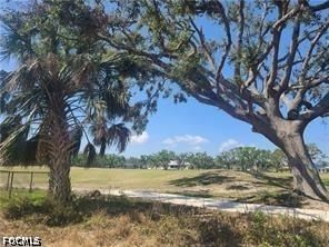1806 NW 24th Place, Cape Coral, FL 33993 photo 3