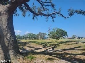 1806 NW 24th Place, Cape Coral, FL 33993 photo 4