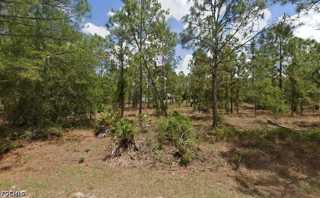 1218 Canton Avenue, Lehigh Acres, FL 33972 photo 2