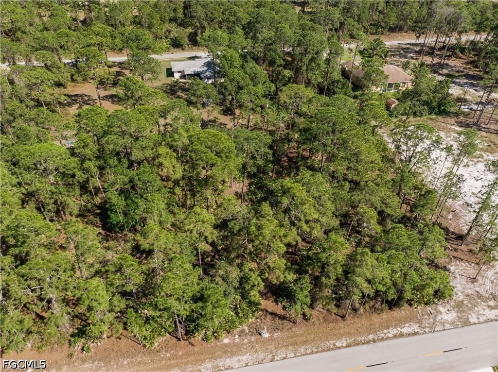 1610 Williams Avenue, Lehigh Acres, FL 33972 photo 2