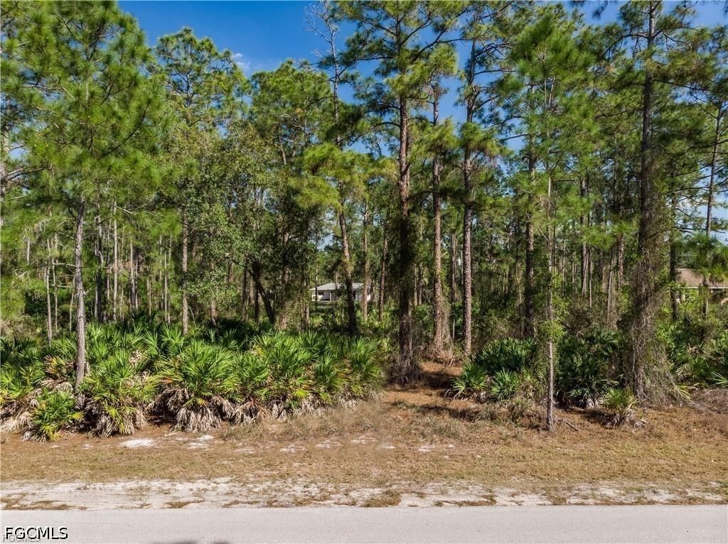 1610 Williams Avenue, Lehigh Acres, FL 33972 photo 3