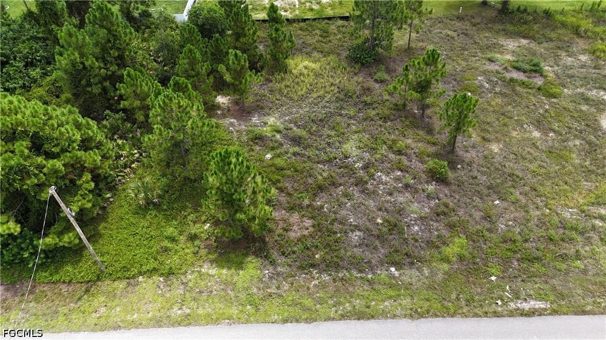 1404 Venice Avenue N, Lehigh Acres, FL 33971 photo 2