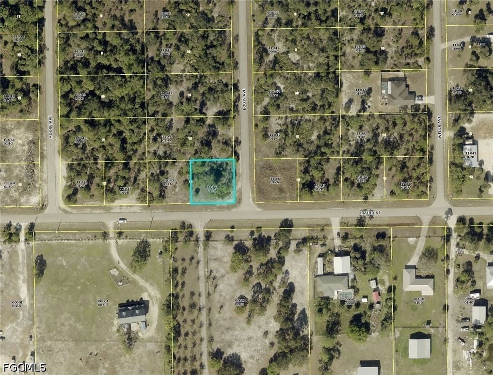 4007 E 23rd Street, Alva, FL 33920 photo 3