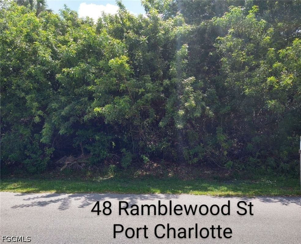 48 Ramblewood Street, Port Charlotte, FL 33953 photo 4