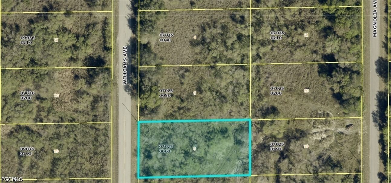 1412 Williams Avenue, Lehigh Acres, FL 33972 photo 2
