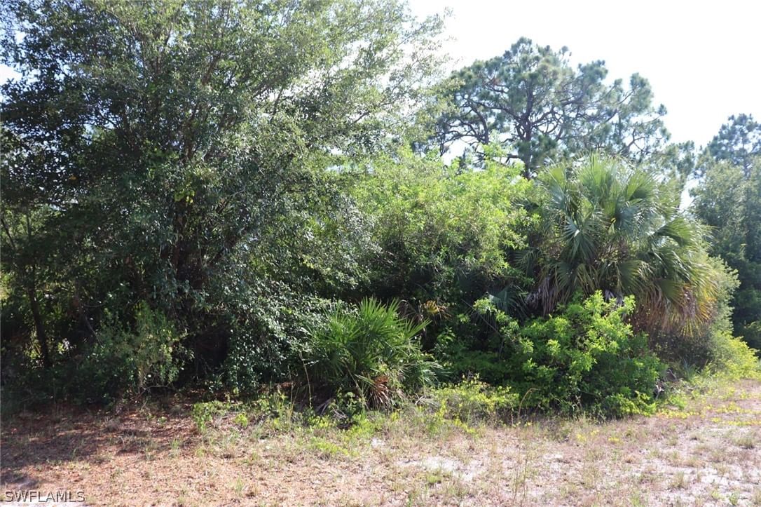 4244 E 24th Street, Alva, FL 33920 photo 5