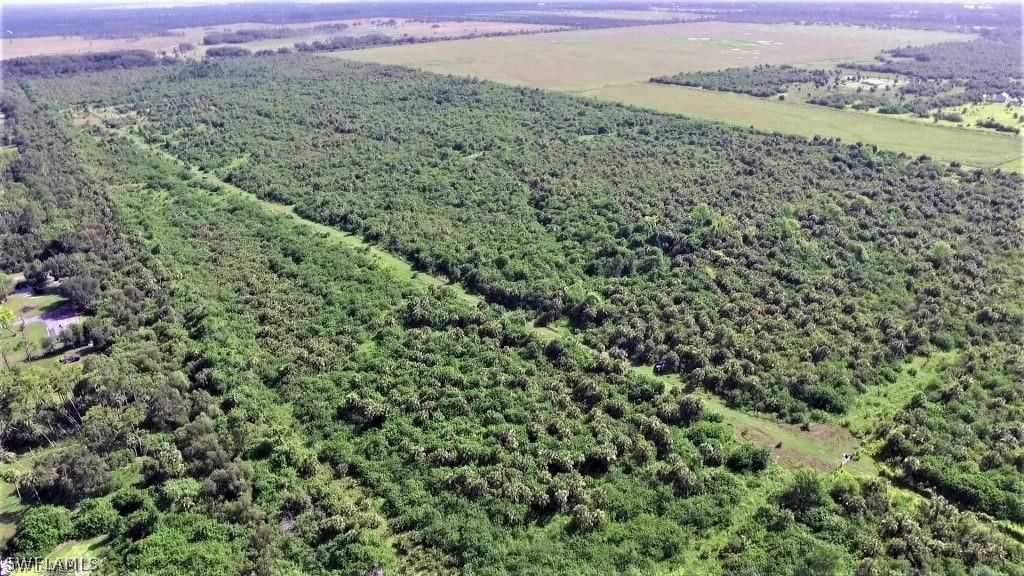 8210 CR 78 Road, Labelle, FL 33935 photo 2