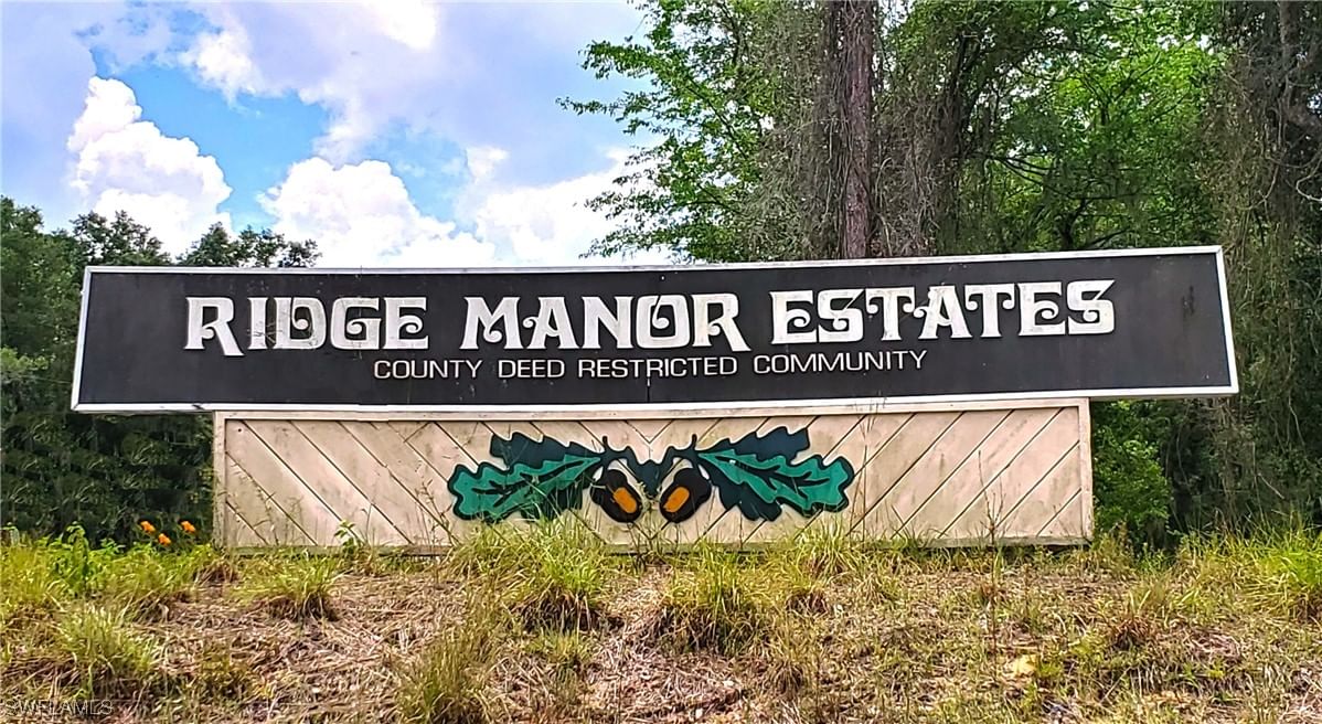 8001 Shasta Street, Webster, FL 33597 photo 5