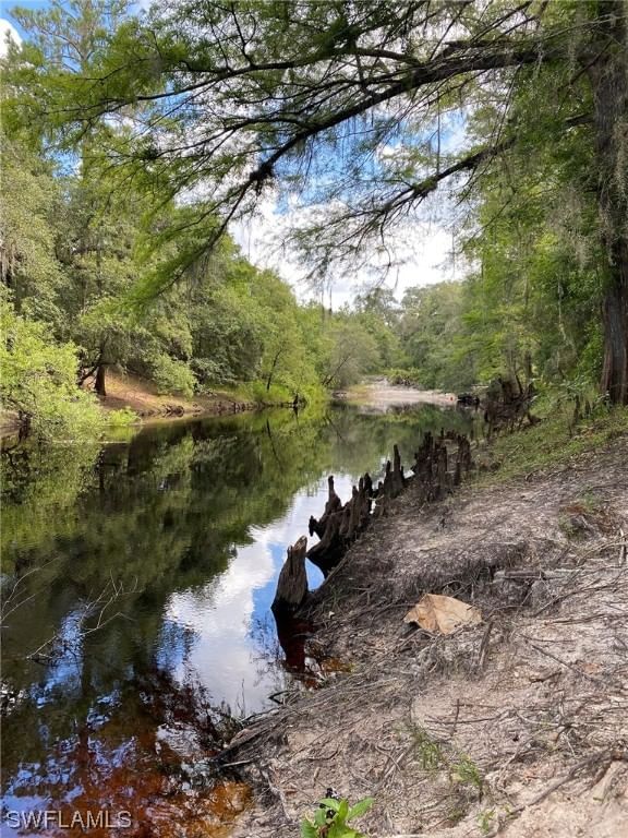 8115 Shasta Street, Webster, FL 33597 photo 3