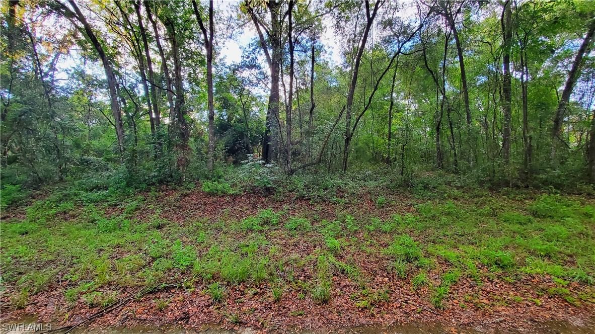 7153 Kenyon Drive, Webster, FL 33597