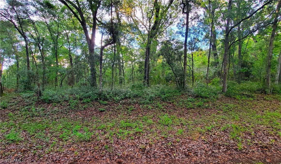 7153 Kenyon Drive, Webster, FL 33597 photo 3
