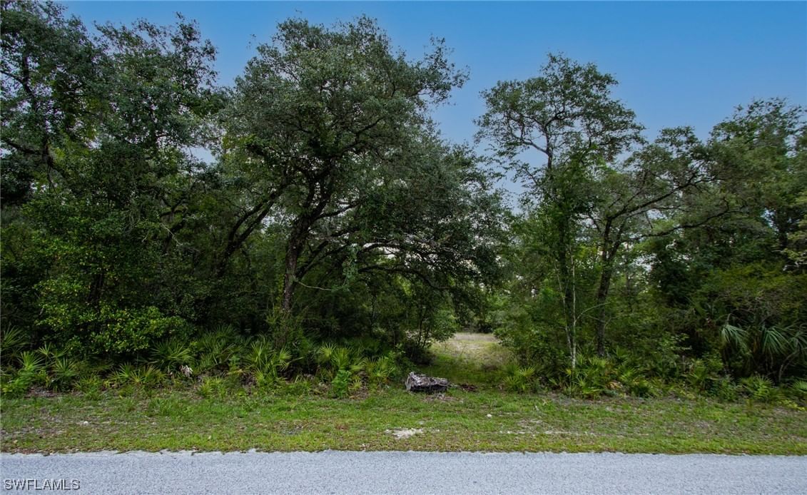 34132 August Avenue, Webster, FL 33597 photo 4