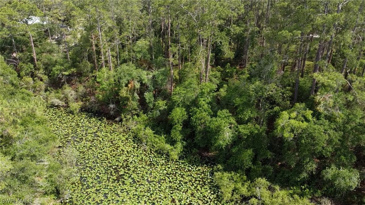 34160 Haas Drive, Webster, FL 33597 photo 4