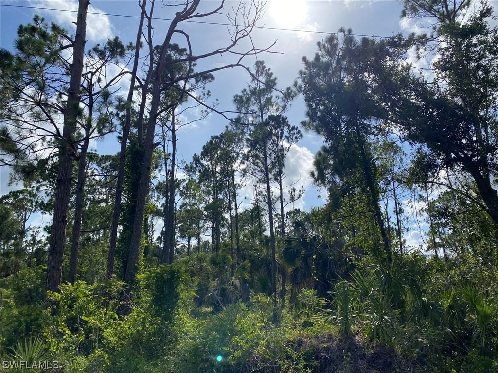 2063 Fernwood Street, Port Charlotte, FL 33948 photo 2