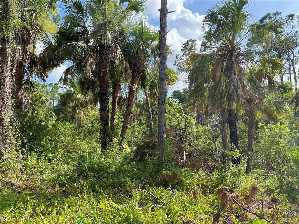 2063 Fernwood Street, Port Charlotte, FL 33948 photo 3