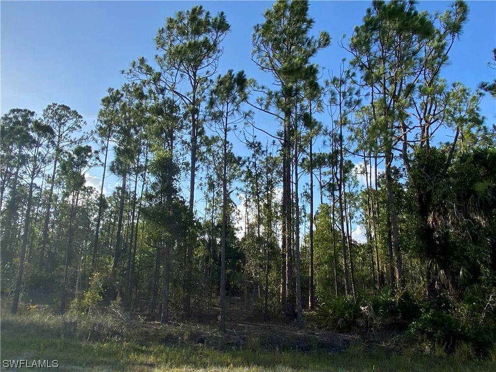 27166 Dubonet Drive, Punta Gorda, FL 33955 photo 2