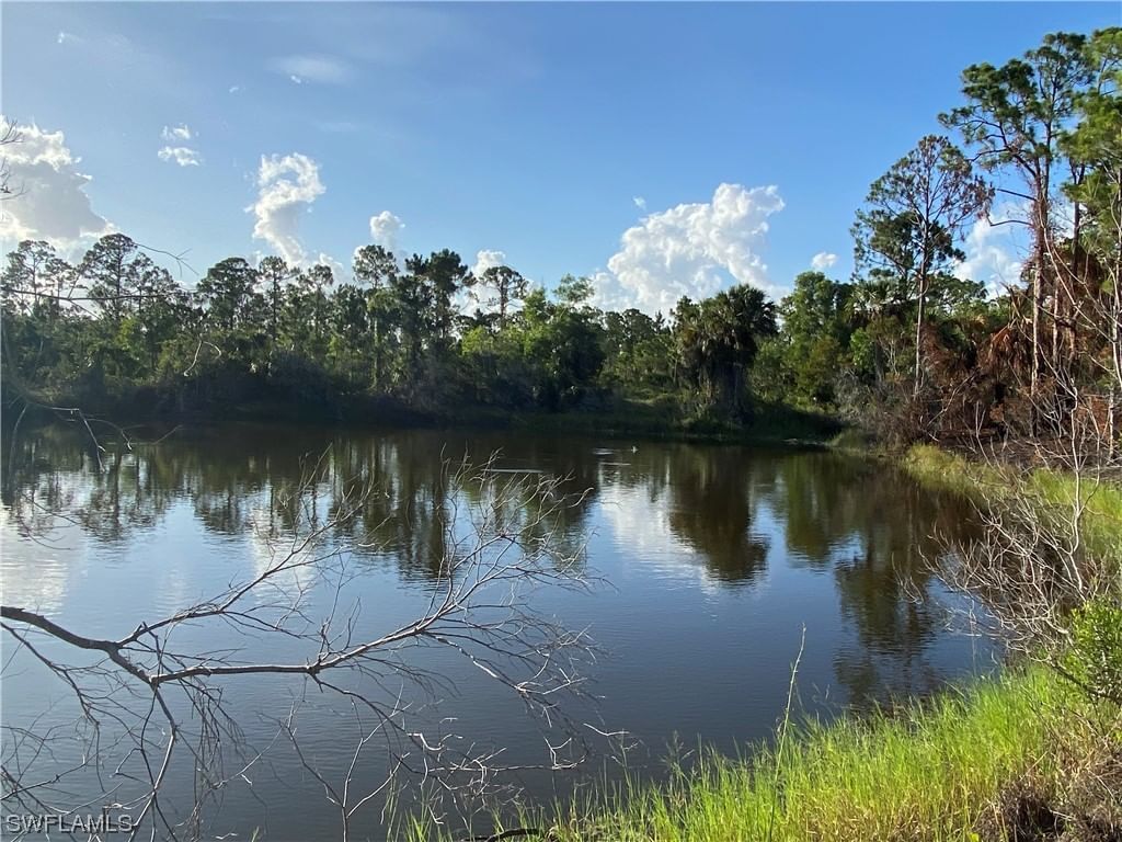 27166 Dubonet Drive, Punta Gorda, FL 33955 photo 4