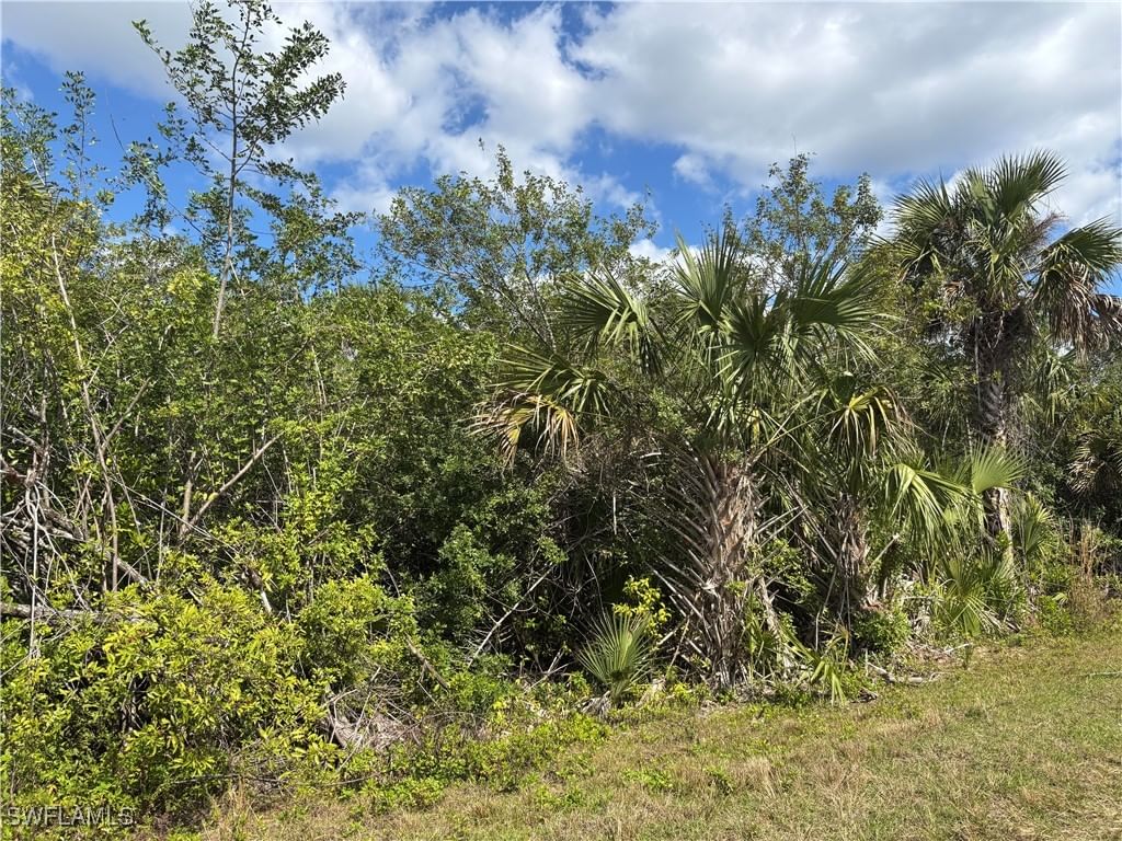 41617360008 36TH Avenue SE, Naples, FL 34117 photo 3