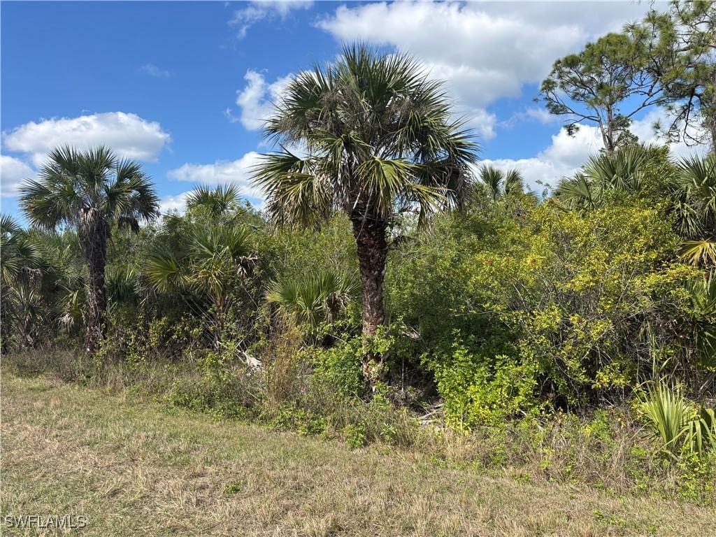 41617360008 36TH Avenue SE, Naples, FL 34117 photo 4