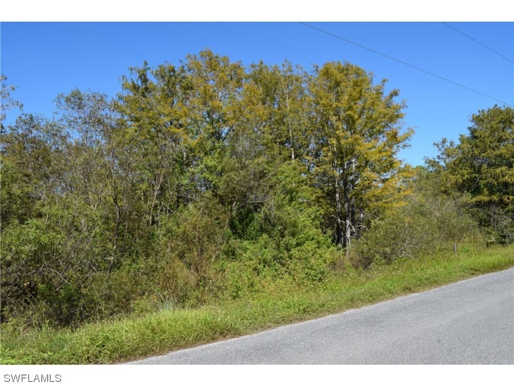 Jacks Branch Road, Labelle, FL 33935 photo 3